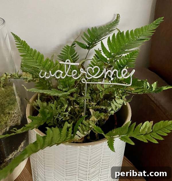 Handcrafted wire plant markers, one spelling 'water me'