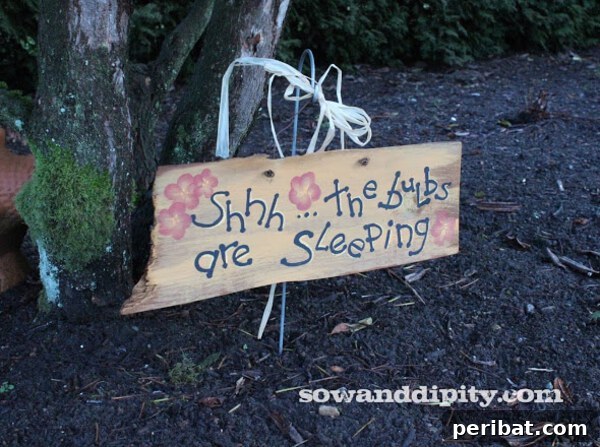 Wooden garden stake with a painted message 'Let the bulbs sleep'