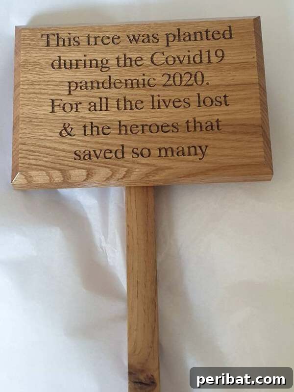 Memorial garden sign commemorating the COVID-19 pandemic
