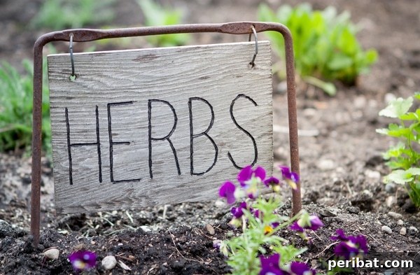 Rustic wooden slab sign marking an herb garden