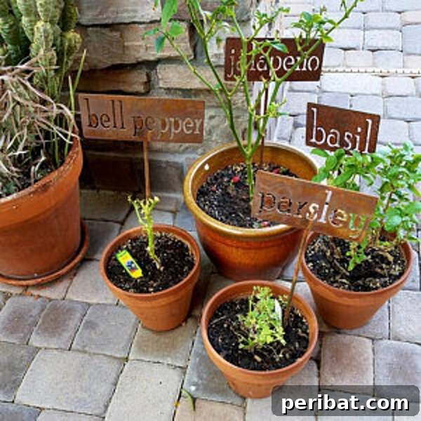 Set of classic metal stakes marking herbs in a garden