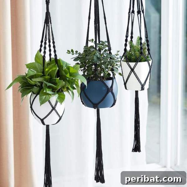 Elevate Your Outdoors with DIY Hanging Accents 25 Macarame plant hanger