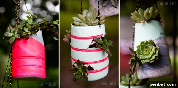 Elevate Your Outdoors with DIY Hanging Accents 38 succulent garden