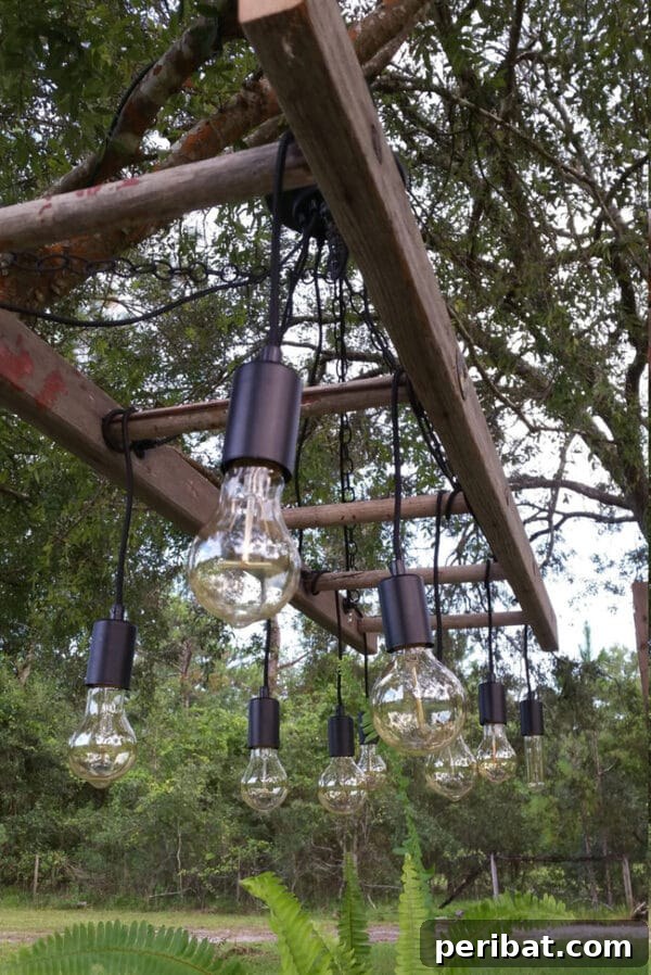 Elevate Your Outdoors with DIY Hanging Accents 7 Edison lights on ladder