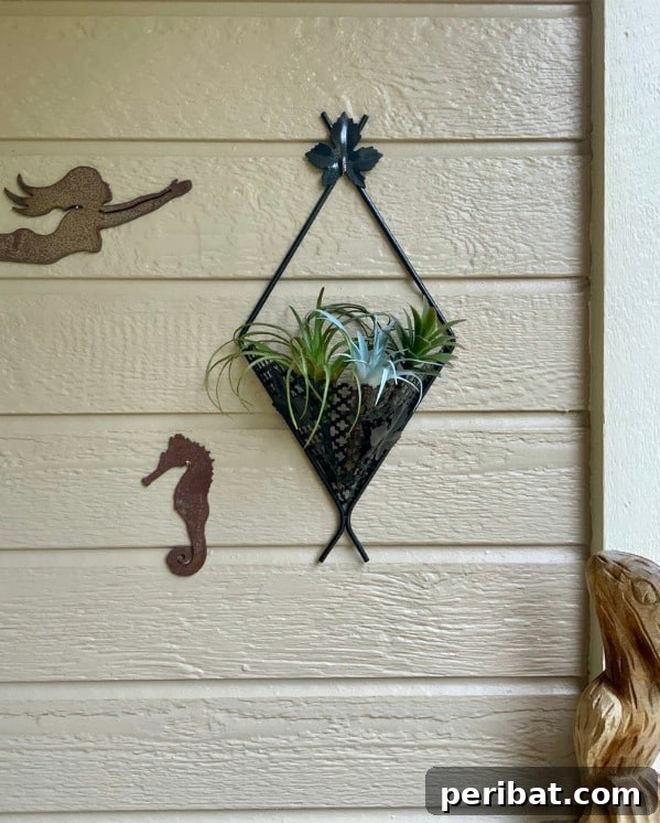Black metal wall sconce basket holding a small plant