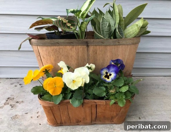 Stacked vintage fruit boxes used as planters