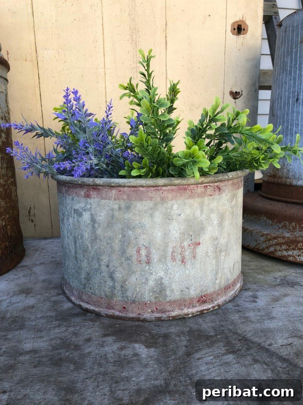 Galvanized washtub used as a planter with greenery