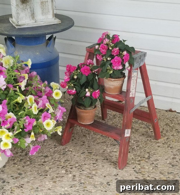 Weathered step stool used as a plant stand on a porch