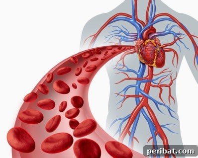 Unlocking 200 Coconut Oil Secrets That Will Transform Your World 9 Boost blood circulation.