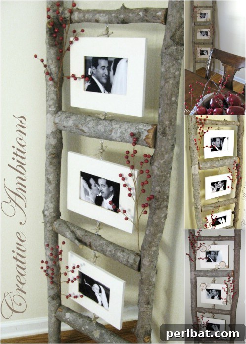 25 Genius Ways to Showcase Your Favorite Photos 3 Handmade Ladder - Unique Photo Display Ideas