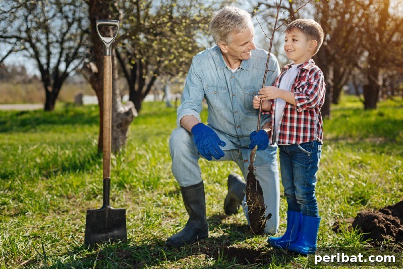 Little boy and granddad planting a tree.