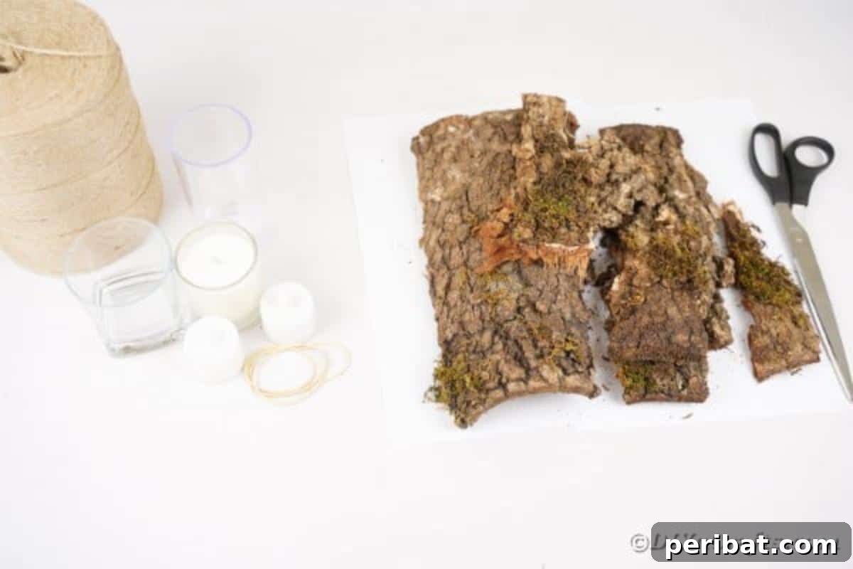 Woodland Hearth Bark Lantern 9 A collection of supplies neatly arranged for crafting tree bark lanterns, including bark, twine, and glass holders