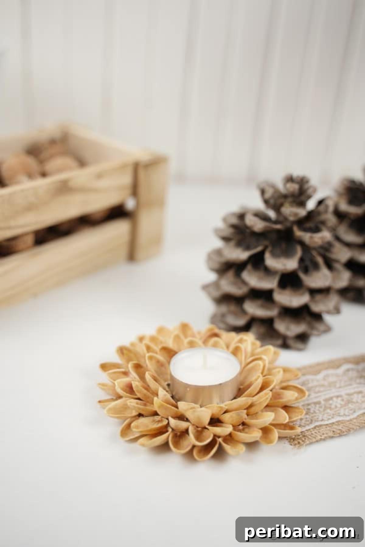 Artisanal Pistachio Shell Candle Holder 19 Pistachio candle holder gracefully positioned next to a rustic wooden box, enhancing natural decor