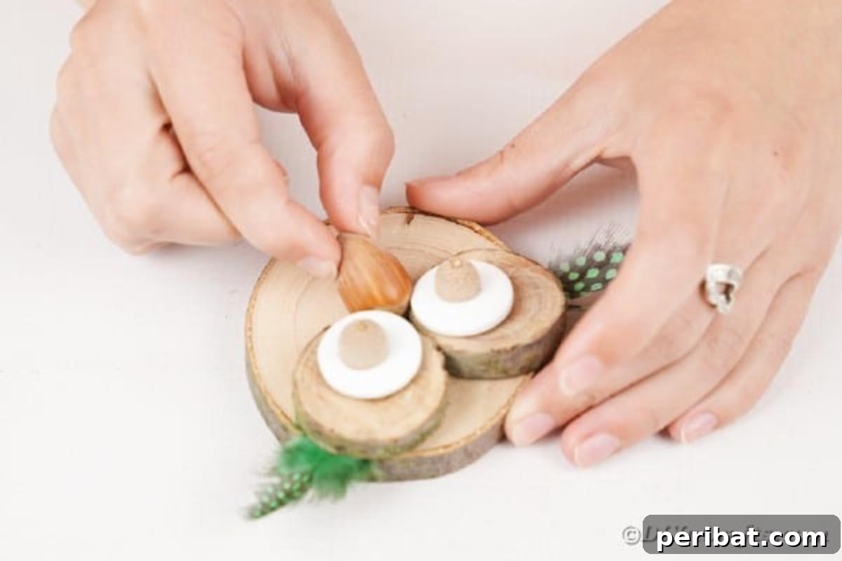 Whimsical Wooden Owls from Recycled Scraps Video Guide 12 The penultimate step in creating the owl's face, showing an acorn being carefully glued into position just below the eyes, forming the owl's nose.