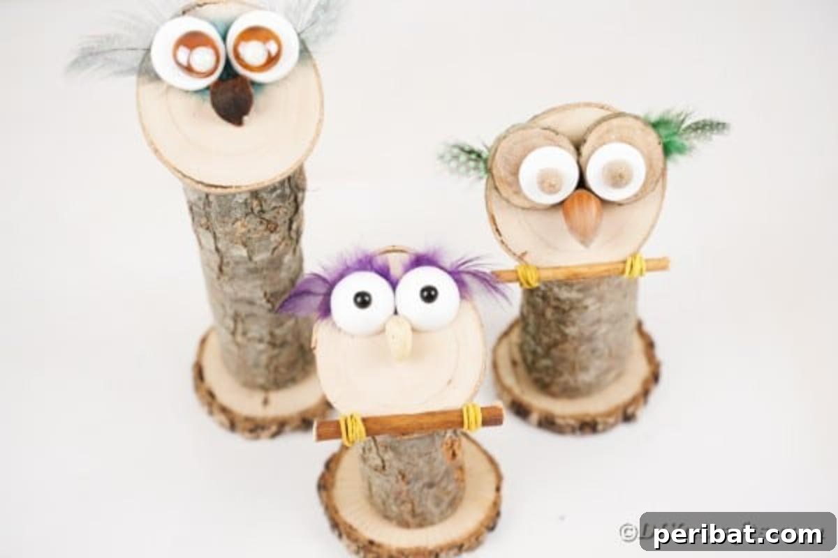 Whimsical Wooden Owls from Recycled Scraps Video Guide 16 A charming tableau featuring a trio of finished wooden owls, each uniquely decorated, proudly displayed on a clean white table, ready to adorn any home.