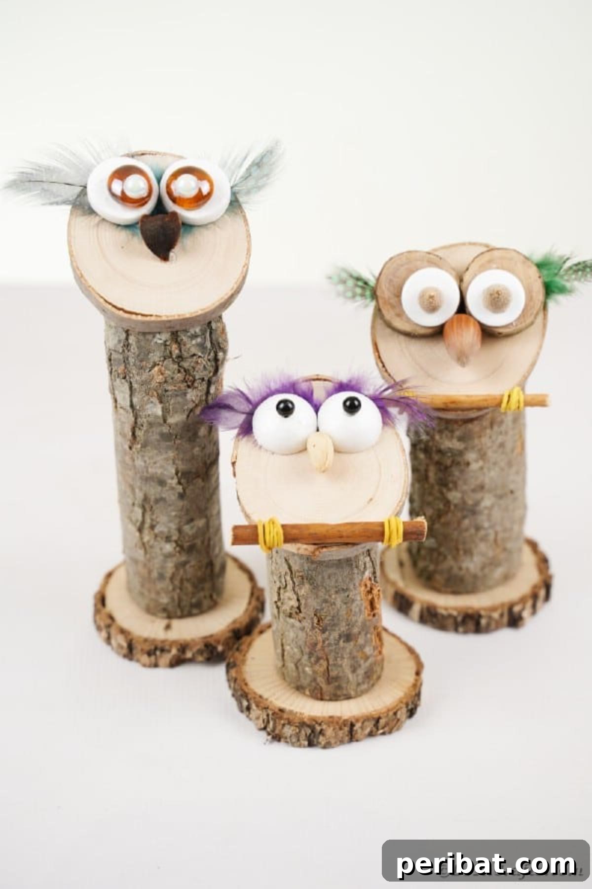 Whimsical Wooden Owls from Recycled Scraps Video Guide 17 A delightful trio of wooden owls, each adorned with distinctive features and colorful accents, elegantly arranged on a pristine white table, showcasing diverse customization options.