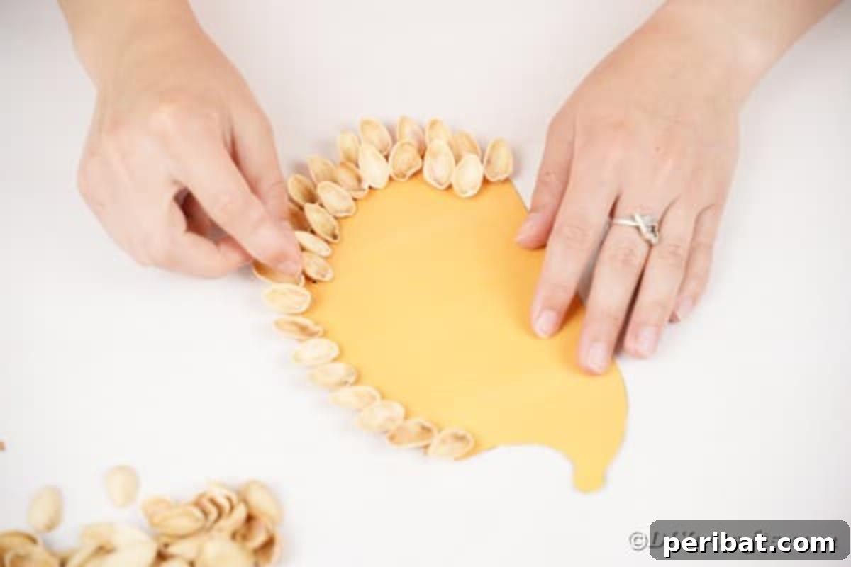More pistachio shells being glued onto the hedgehog outline, building up the first layer of texture.