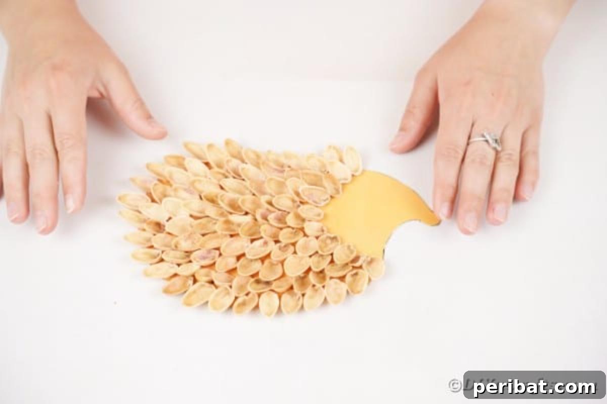 The hedgehog template mostly covered with pistachio shells, leaving a distinct area for the face and nose.