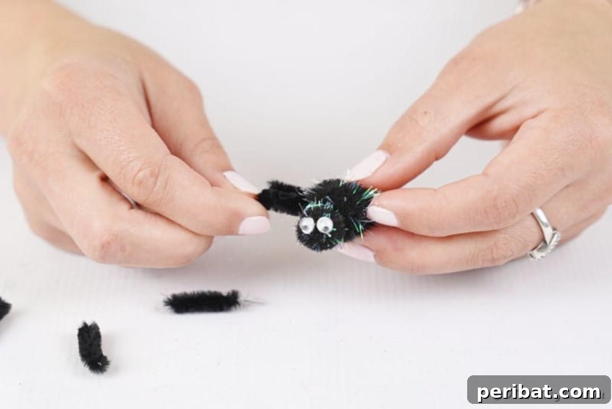 Spooky Stick Spiderwebs 12 Four small pipe cleaner segments are being glued onto each side of the larger pom-pom, forming the spider's legs.