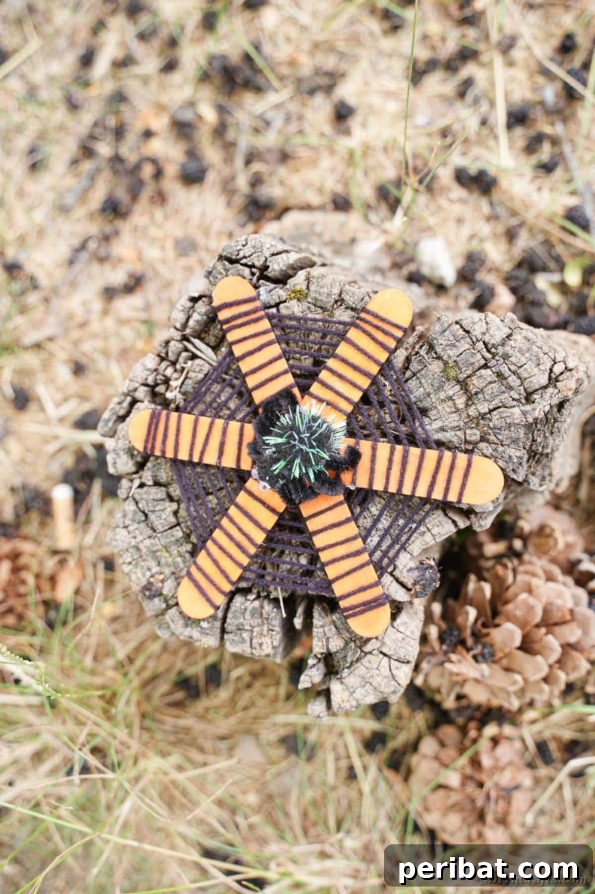 Spooky Stick Spiderwebs 20 A craft stick spider web with its pom-pom spider, placed outdoors on a tree stump, showing its natural appeal.