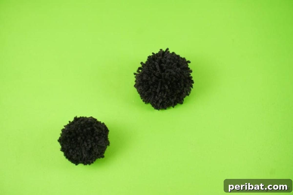 Two pom pom balls