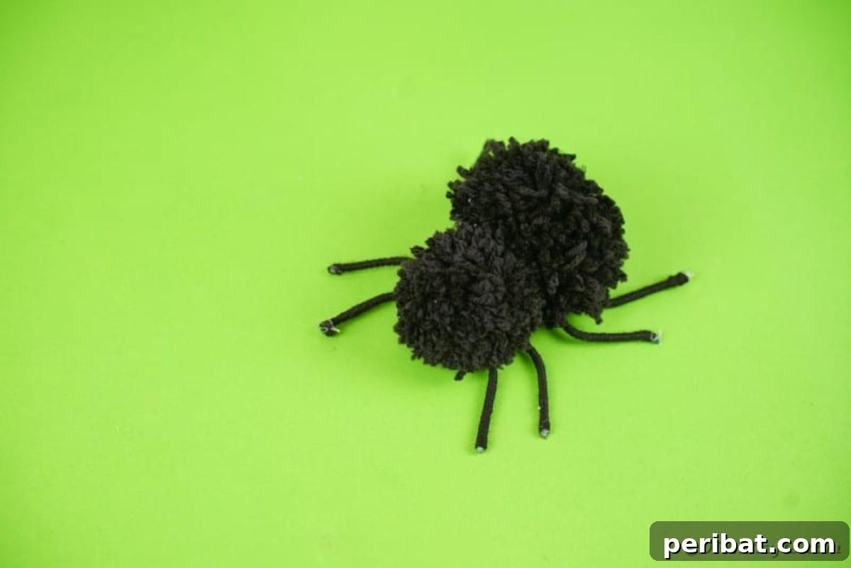 Black pom pom spider on green table