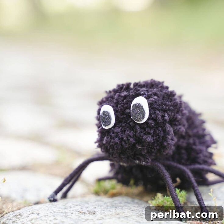Pom pom spider on cobblestone