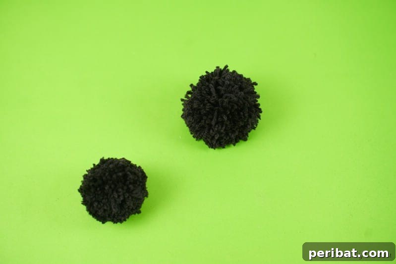 Two pom pom balls