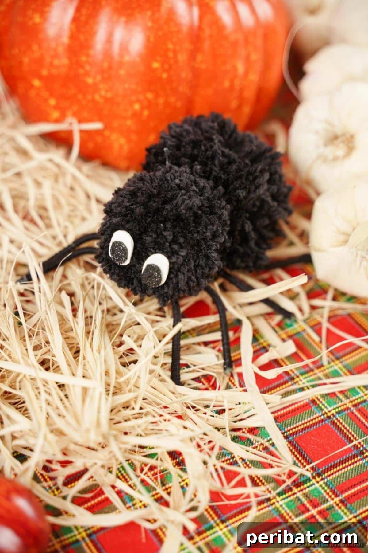 Black yarn spider on hay