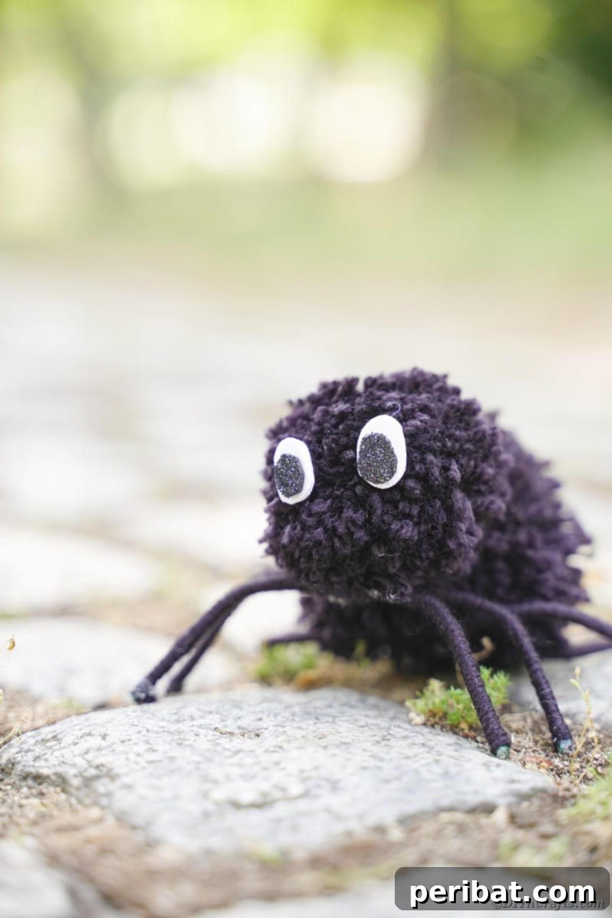 Pom pom spider on cobblestone