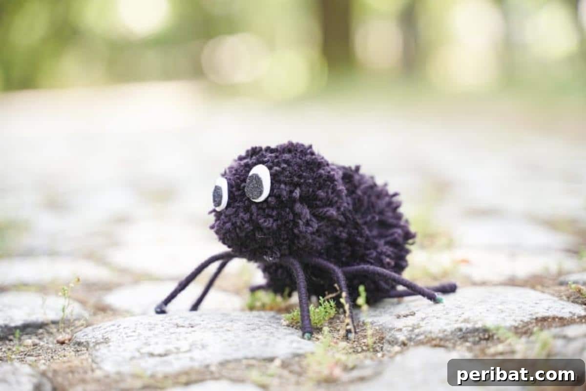 Pom pom spider on cobblestone