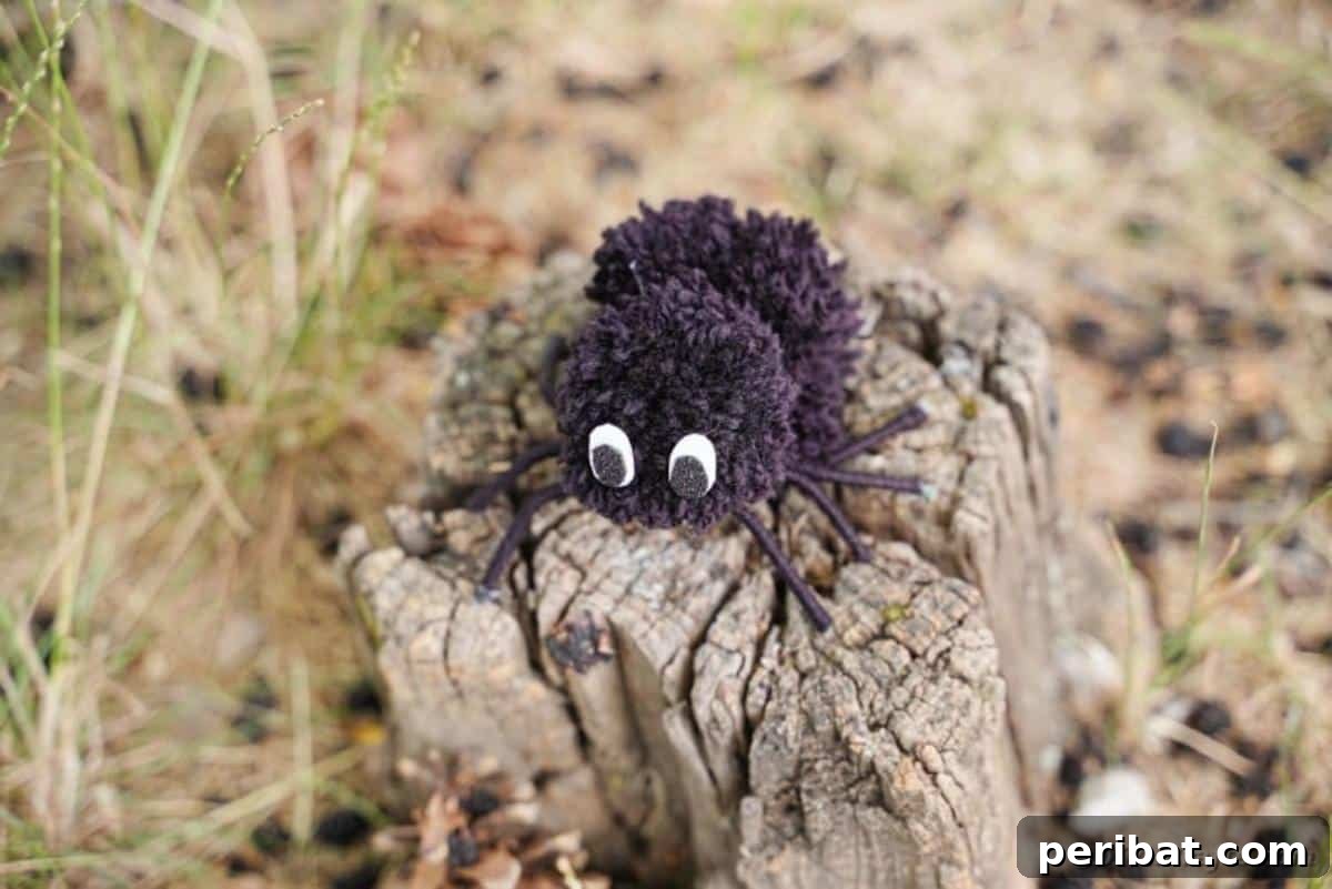 Pom pom spider on stump