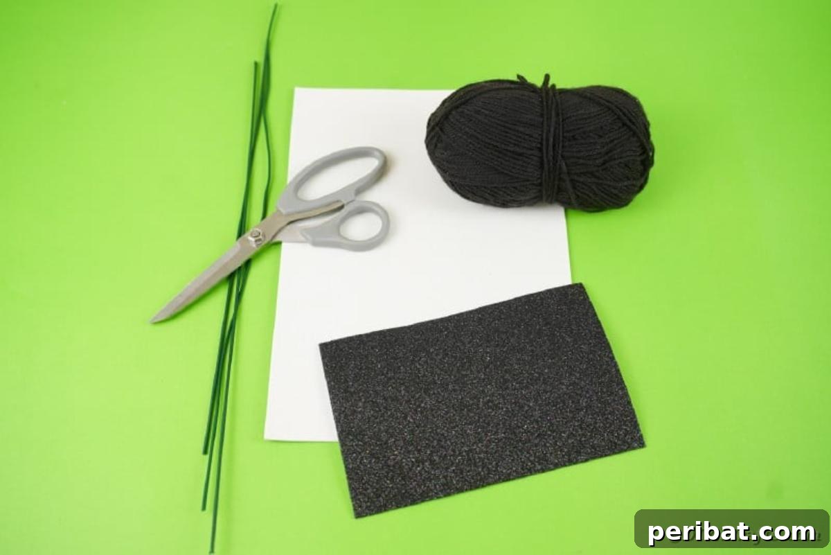 Pom Pom spider supplies