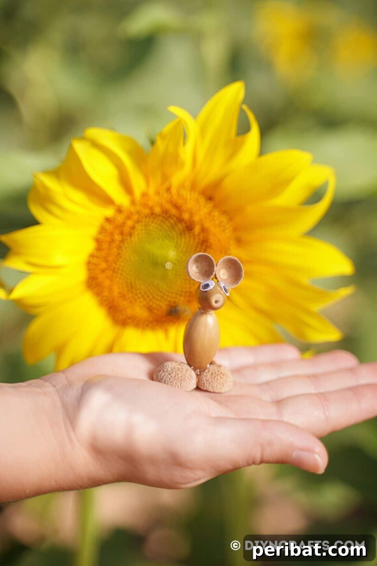 Craft Adorable Acorn Mice for Autumn Decor 21 Hand holding acorn mouse in front of sunflower