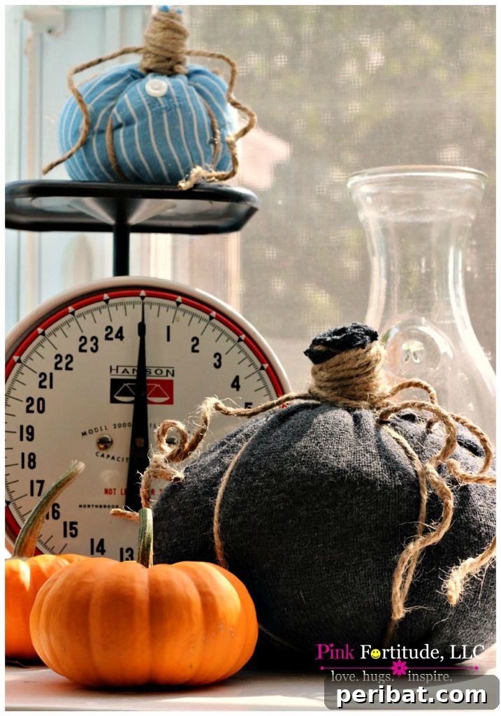 55+ Creative DIY Pumpkin Decorating Ideas for Fall 45 A stylish black fabric-wrapped pumpkin displayed by a scale, featuring a no-sew design
