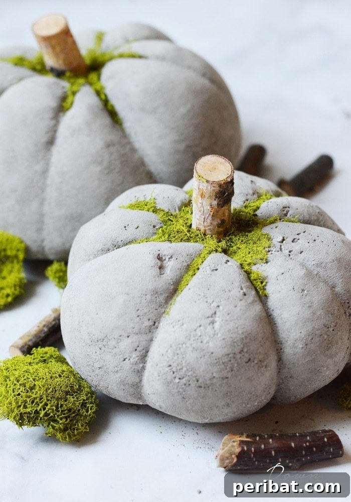 55+ Creative DIY Pumpkin Decorating Ideas for Fall 48 Unique DIY concrete pumpkins topped with moss, creating a permanent rustic decoration