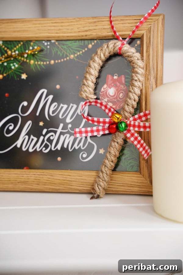 Sixty Sparkling DIY Ornaments for Your Christmas Tree 15 Twine wrapped candy cane