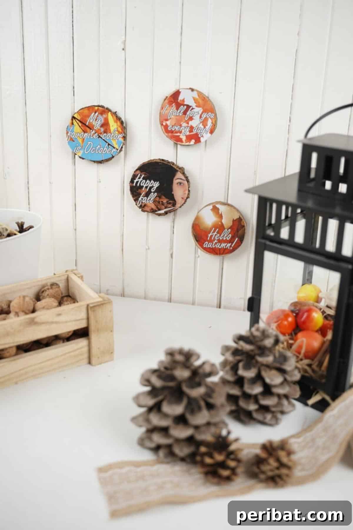Autumnal Wood Slice Photo Keepsakes 16 asssortment of wooden slice crafts