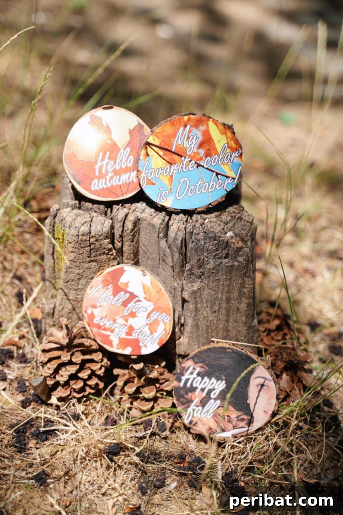 Autumnal Wood Slice Photo Keepsakes 5 wooden slices being displayed outside