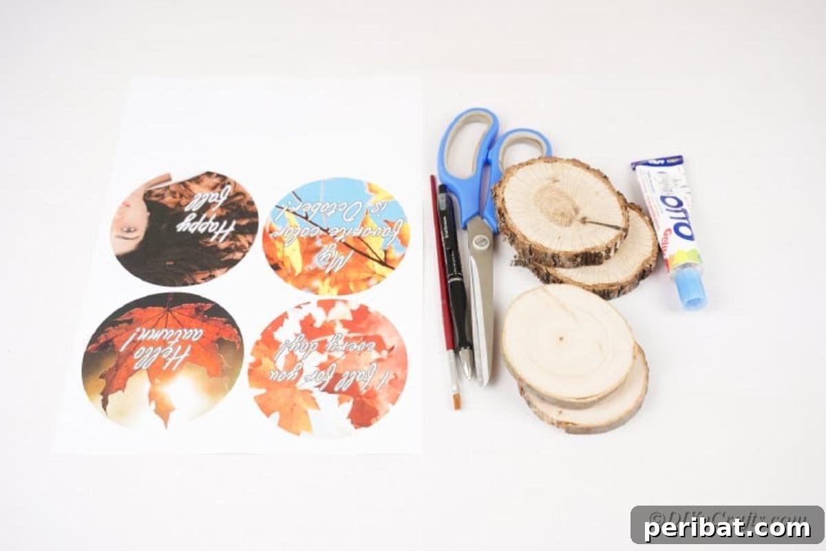 Autumnal Wood Slice Photo Keepsakes 7 craft supplies pictures slices of wood