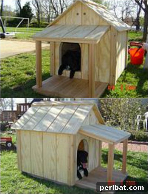 15 Free Plans: Build a Dream Dog House for Your Furry Friend 11 Keep it Traditional: Classic DIY dog house with an added covered front porch for shade