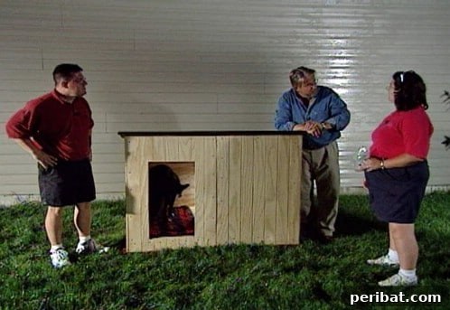 15 Free Plans: Build a Dream Dog House for Your Furry Friend 12 Customized House: Simple DIY dog house with an interior partition for warmth and size customization
