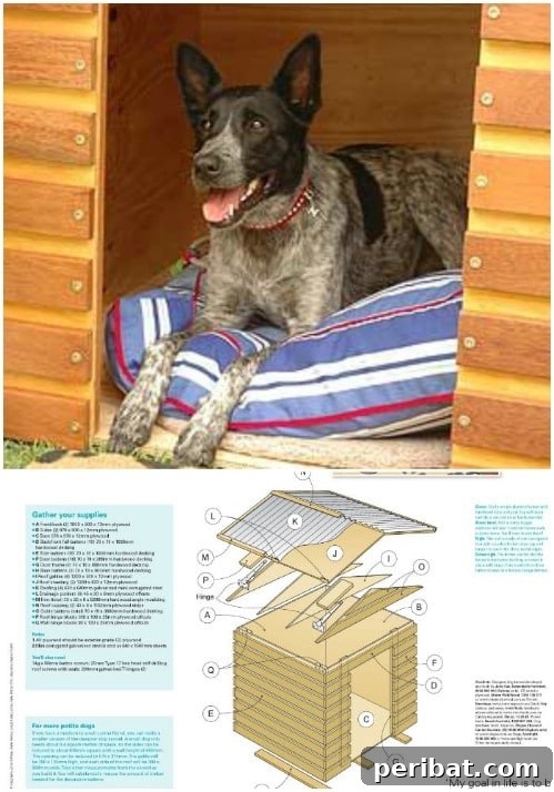 15 Free Plans: Build a Dream Dog House for Your Furry Friend 14 Rustic Home: Simple, classic DIY dog house with a hinged corrugated iron roof for easy cleaning
