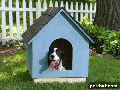 15 Free Plans: Build a Dream Dog House for Your Furry Friend 16 A Tried and Tested Classic: Simple, easy-to-build traditional dog house, perfect for beginners