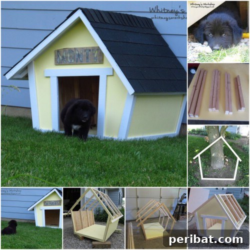 15 Free Plans: Build a Dream Dog House for Your Furry Friend 2 Crooked Fun: A whimsical, Dr. Seuss-inspired DIY dog house project for your pet