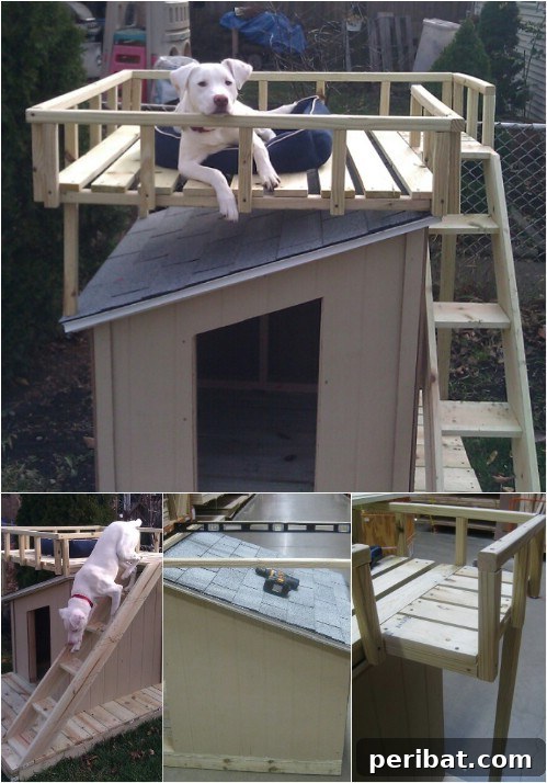 15 Free Plans: Build a Dream Dog House for Your Furry Friend 5 Fit for a King: Luxurious DIY dog house with a unique rooftop deck feature