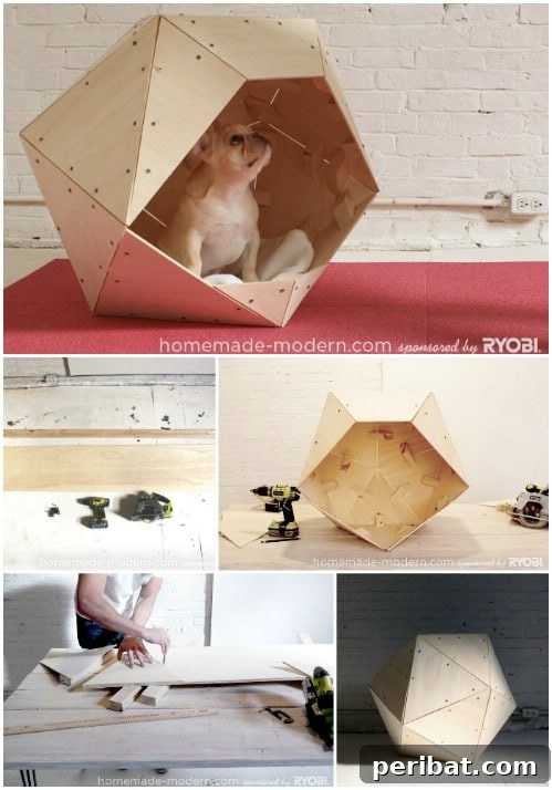 15 Free Plans: Build a Dream Dog House for Your Furry Friend 6 Modern Geometrics: Stylish, faceted DIY dog house with a contemporary design