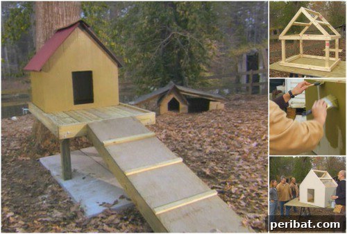 15 Free Plans: Build a Dream Dog House for Your Furry Friend 9 Canine Tree House: Ramped and stilted DIY dog house, offering an elevated play and rest area