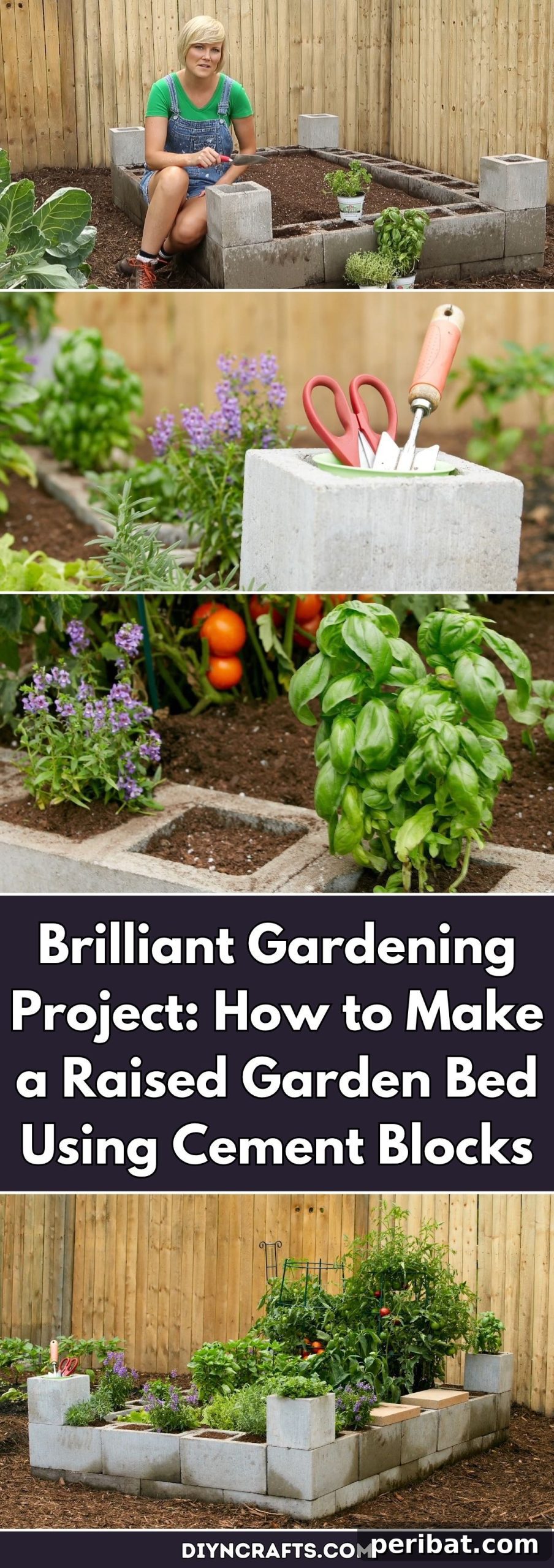 Step-by-step guide to building an affordable and efficient raised garden bed using readily available cinder blocks, perfect for growing vegetables and herbs.