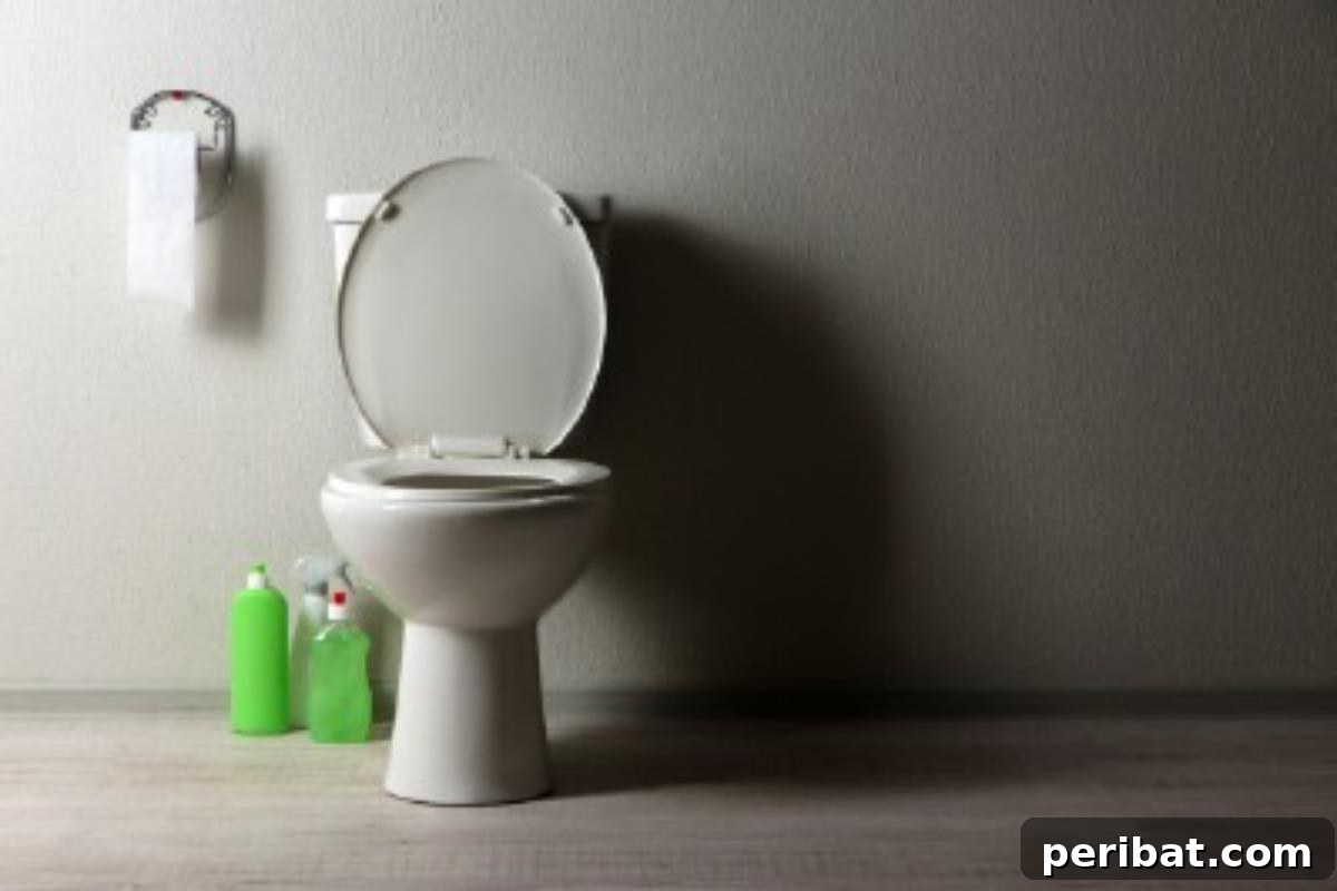 51 Genius Hydrogen Peroxide Hacks 29 A toilet